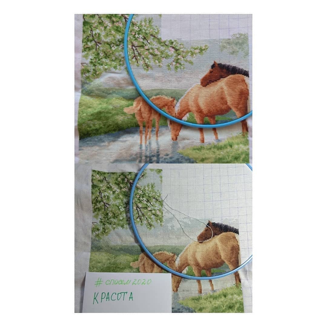 Изображение к отзыву Мария №2