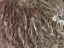 Цвет № 932