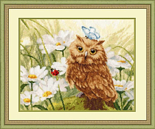 Вышивка З-052 Совенок в ромашках