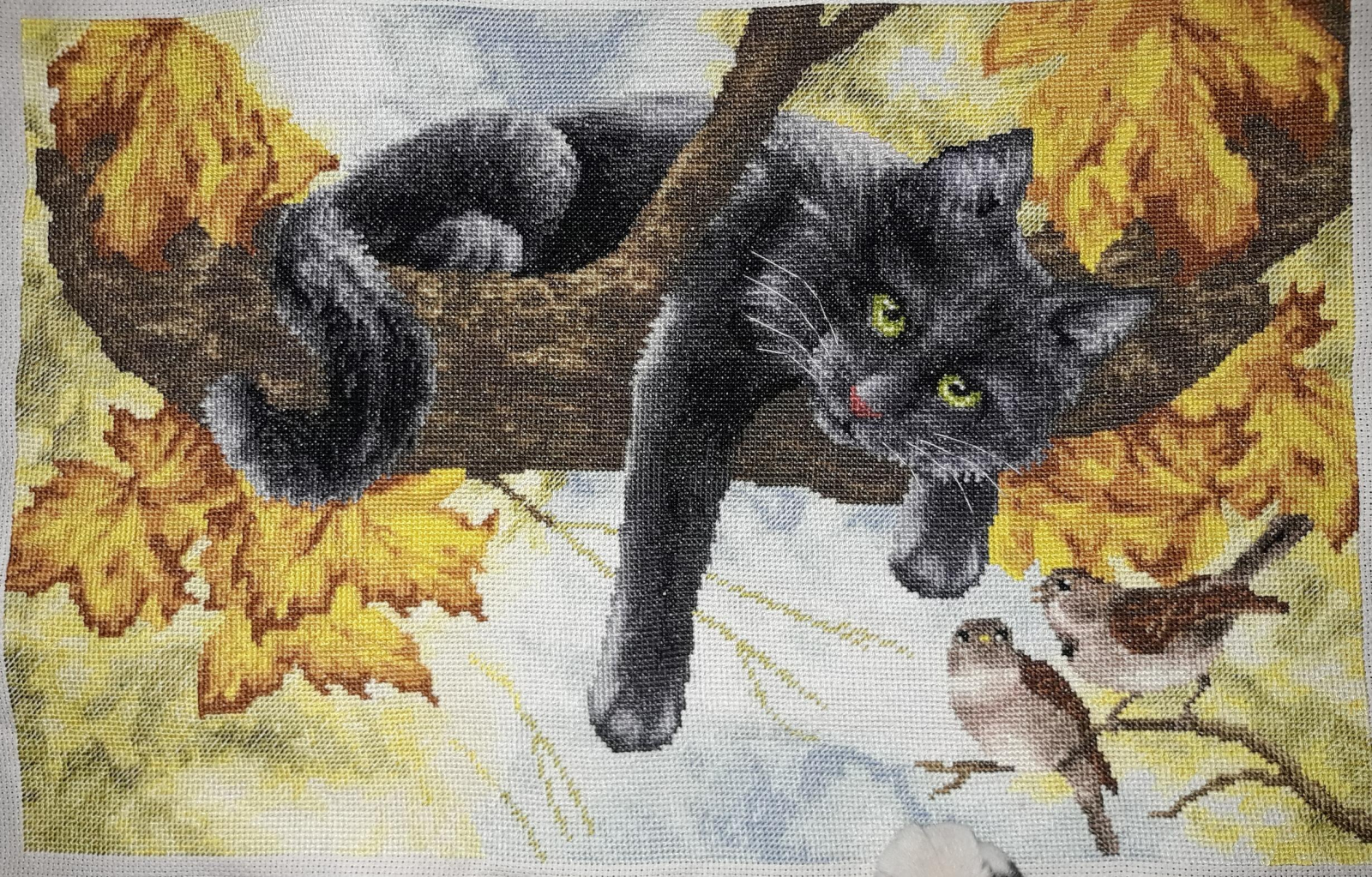 Изображение к отзыву Лариса Абушенко