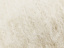 Цвет № 490