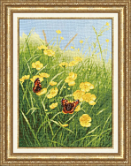 Вышивка ЛП-066 Полевые лютики