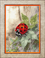 Вышивка СЖ-072 Божья коровка