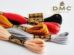 DMC мулине Stranded Cotton